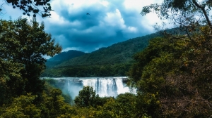 5-Day Kerala Itinerary for First-Time Visitors