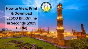 How to View, Print & Download LESCO Bill Online in Seconds (2025 Guide)