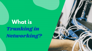 What Is Trunking in Networking? Explained with Real-World Use Cases