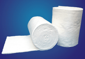 Asia Pacific Ceramic Fiber Market | Size and Share, Analysis, Growth by 2025-2033
