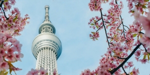 One Night in Osaka: Street Food & Nightlife Plan