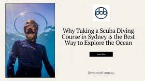 Why Taking a Scuba Diving Course in Sydney is the Best Way to Explore the Ocean