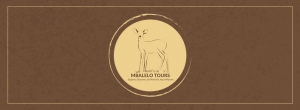Unforgettable Ngorongoro Crater Safari Experience with Mbalelo Tours