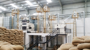 Setup a Seed Processing Plant- Detailed Project Report- Cost Analysis and Unit Operations