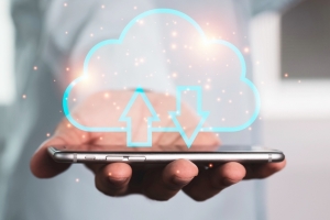What Is the Importance of Objects and Fields in Salesforce?
