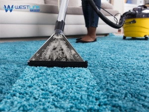 Is steam or dry carpet cleaning better for Northern Beaches homes?