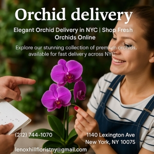 How to Keep Orchids Alive?