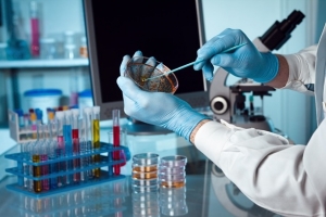 What Top Biotech Search Firms in the Northeast Look for in C-Level Candidates?