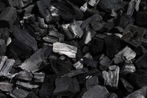 Indonesia Coal Market Trends 2025, Size, Share, Growth, Key Players, and Report by 2033