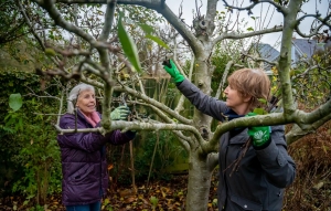 The Smart Homeowner’s Guide to Tree Cutter Services Near Me That Actually Show Up