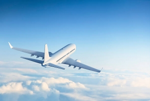 How Long Does a Delta Refund Take?