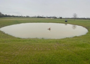 Avoiding Common Pond Construction Mistakes: A Contractor’s Checklist