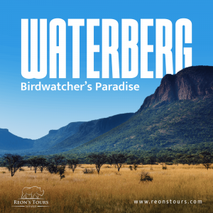 What to Pack for Your Waterberg Plateau Safari: Essential Tips for First-Time Travelers