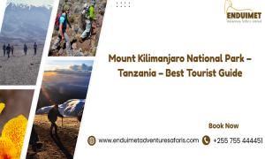 Mount Kilimanjaro National Park – Tanzania – Best Tourist Guide