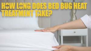 How Long Does Bed Bug Heat Treatment Take?