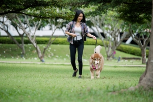 How Regular Dog Walks Improve Your Pet’s Physical and Mental Well-being