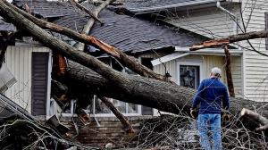 Affordable Storm Damage Restoration Services in Fort Myers You Can Trust