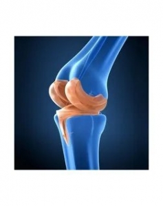 What Sets the Best Orthopedic Surgeon in India Apart in Terms of Expertise, Technology, and Patient Care?