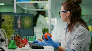 Role of a Nutrition Admission Consultant in Securing BSc Food and Nutrition Admission
