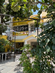 Crazy Plant Lady Cafe: Where Coffee, Plants & Calm Coexist in Ahmedabad