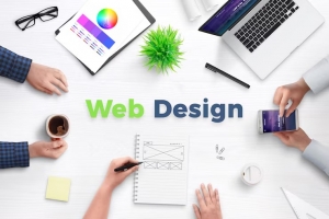 Local SEO Meets Design: Tampa Website Design Tips for Visibility
