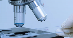 How a B.Sc Microbiology Course in Uttarakhand Prepares You for the Healthcare Sector