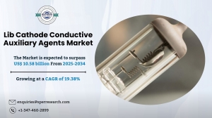 Lib Cathode Conductive Auxiliary Agents Market Worth, Share to 2034