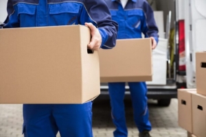 Moving Labor Services in Tampa - 1