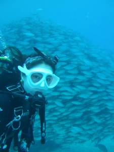 Why Tulamben Is a Must-Visit Dive Destination