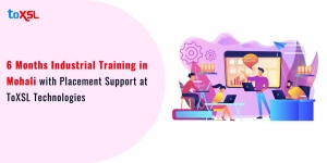 6 Months Industrial Training in Mohali with Placement Support at ToXSL Technologies