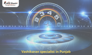 Finding Harmony: Guidance from a Trusted Vashikaran Specialist in Punjab