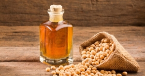 Soybean Oil Processing Plant Setup Cost 2025: Industry Trends, Profitability Metrics and Revenue Analysis