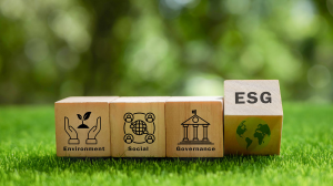 Comment Les Logiciels de Gestion ESG Aident Les Entreprises à Répondre Aux Normes Évolutives