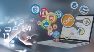 Best CMS Web Development inDallas