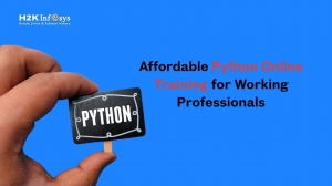Affordable Python Online Training for Working Professionals