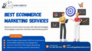 Best Ecommerce SEO Services in India to Boost Organic Conversions – Wish Geeks Techserve