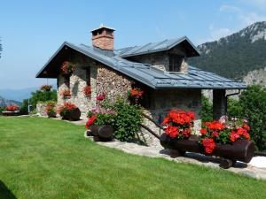 What is Hardscape Cleaning & Maintenance & When Should I be Doing it?