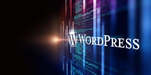 7 Common Mistakes WordPress Developers Should Avoid