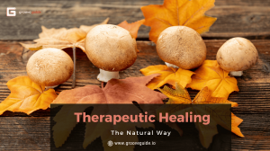  Explore how psilocybin and THC offer support for calm, clarity, and emotional recovery.