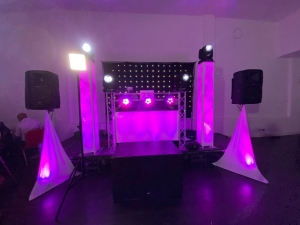 Punjabi DJ London