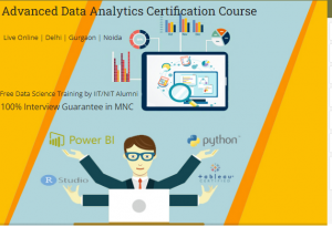 Job Assistance Data Analyst Course in Delhi, Independence Day Offer till 15 Aug, Free Data Science Training Certification by SLA Consultants India,