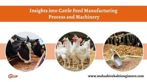 Insights into Cattle Feed Manufacturing Process and Machinery