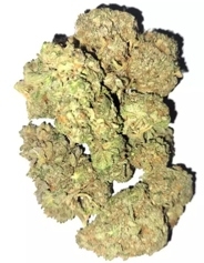 How to Properly Store Bulk Weed to Maintain Freshness