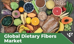 Dietary Fibers Market: Scope for Multidimensional Applicability