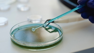 The Rising Impact of Clinical Biostatistics in Global Clinical Research