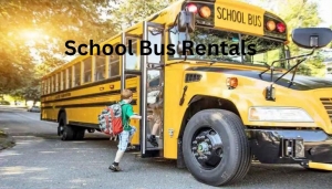 School Bus Trends: What's New in Design and Technology