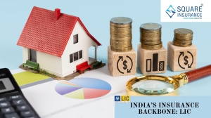 Why LIC of India Is Still the Backbone of India's Insurance Sector