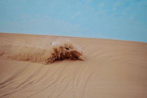 Best Desert Safari & City Tour Operators in Abu Dhabi