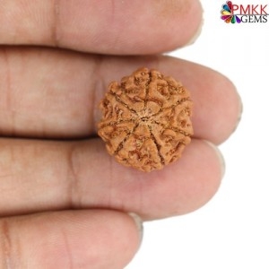 Unlocking the Power of 4 Mukhi Rudraksha: A Guide to Wisdom, Intellect, and Spiritual Growth