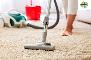 DIY Vs Professional Carpet Cleaning: Which One Should You Choose?